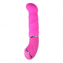 Mix It Up Vibrator - Roze