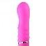 Power It Up Vibrator - Roze